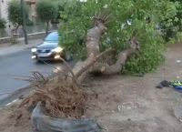Τροχαίο στο Χαλάνδρι: Χωρίς δίπλωμα ο 18χρονος που σκοτώθηκε