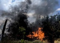 Φωτιά στη Μεσσηνία: Σε εξέλιξη η φωτιά στην περιοχή Ακριτοχώρι