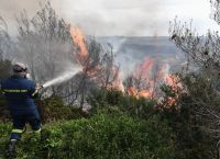 Φωτιά στην Εύβοια: Καίγεται δασική έκταση στο Αλιβέρι [pic]