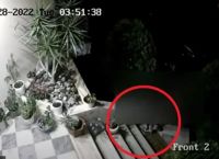Ηράκλειο: Μπήκε στην αυλή για να κλέψει το… χαλάκι [vid]