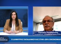 Δημήτρης Παπαδημούλης στο pagenews.gr: Οι δηλώσεις του Κυριάκου Μητσοτάκη οδηγούν σε εκλογές το φθινόπωρο