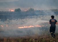 Φωτιά τώρα: Πυρκαγιά στη Μεσσηνία