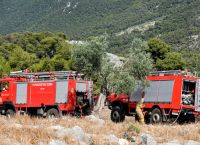 Λεχαινά Ηλείας: Η πυρκαγιά αποκάλυψε… αρχαίους κίονες Λεχαινά Ηλείας: Η πυρκαγιά αποκάλυψε… αρχαίους κίονες