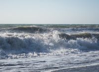 Εύβοια: Νεκρή βρέθηκε 66χρονη στο Πευκί