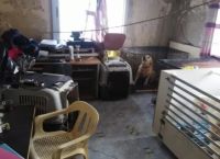 Θεσσαλονίκη: 21 μήνες με τριετή αναστολή στην 60χρονη που είχε φυλακισμένα 16 σκυλιά