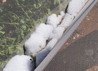 Καβάλα: Τεράστιες καταστροφές στις καλλιέργειες από το χαλάζι [pic]