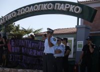 Αττικό Πάρκο: Προανάκριση για τη θανάτωση του χιμπατζή – Τον σκότωσαν πριν φτάσουν οι αστυνομικοί