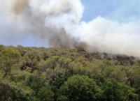 Φωτιά τώρα: Πυρκαγιά στην Σκύνδα