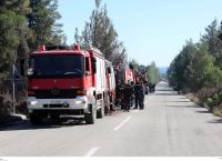 Φωτιά στην Κασσάνδρα Χαλκιδικής