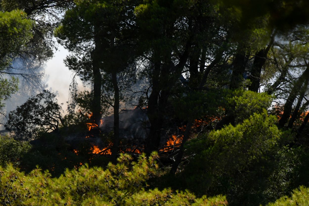 Πυρκαγιές σε Κύμη και Πάτρα