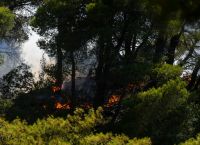 Πυρκαγιές σε Κύμη και Πάτρα Πυρκαγιές σε Κύμη και Πάτρα
