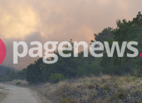 Δάσος Δαδιάς: Το pagenews.gr σας μεταφέρει την εικόνα από το σημείο [pic]