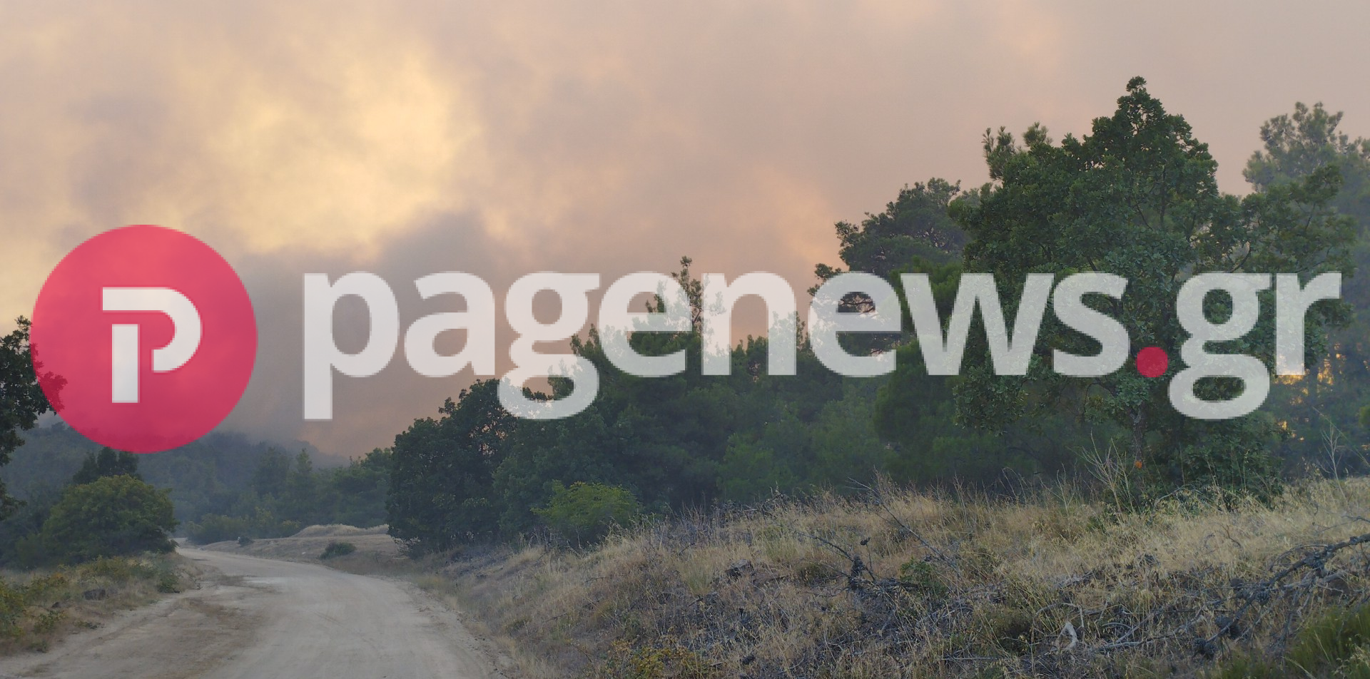 Δάσος Δαδιάς: Το pagenews.gr σας μεταφέρει την εικόνα από το σημείο [pic]
