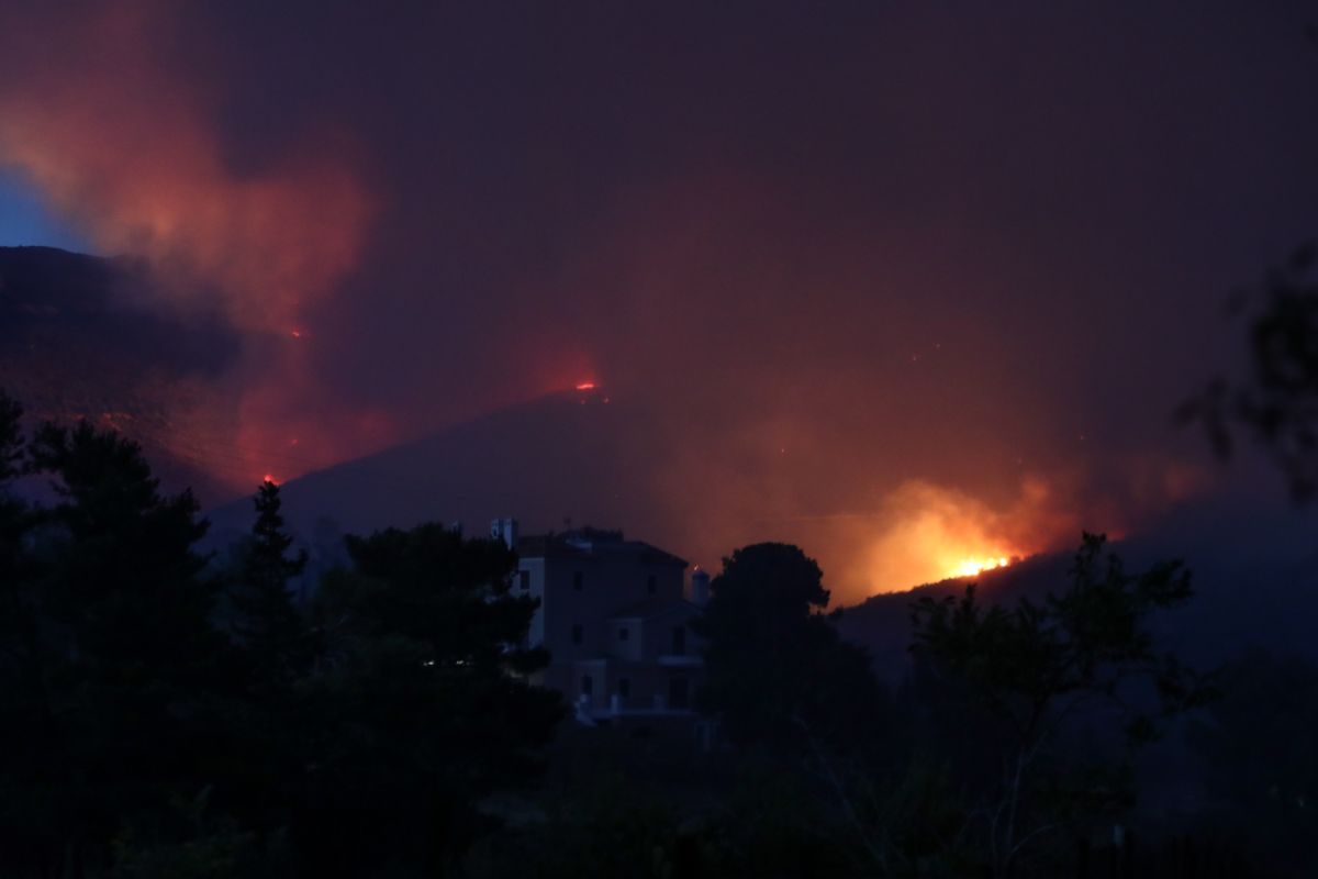 Φωτιά στην Πεντέλη: Έκκληση σε πολίτες να μην εγκαταλείπουν τα ζώα τους