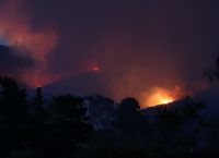 Φωτιά στην Πεντέλη: Έκκληση σε πολίτες να μην εγκαταλείπουν τα ζώα τους
