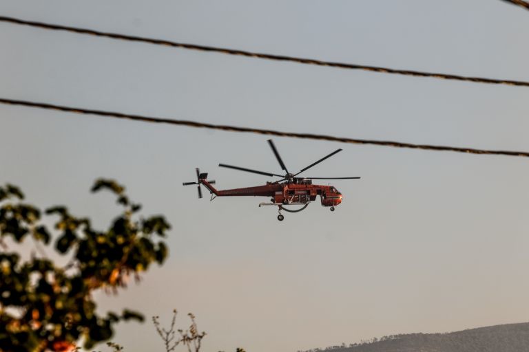 Παναγιώτης Καλακίκος Δήμαρχος Σουφλίου στο pagenews.gr: Ποια η κατάσταση στη Δαδιά