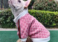 Η νέα pet collection του οίκου Gucci είναι το ωραιότερο δώρο στο κατοικίδιο σου