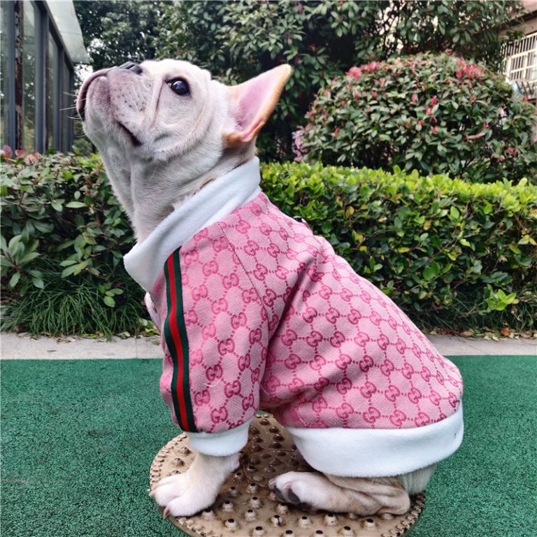 Η νέα pet collection του οίκου Gucci είναι το ωραιότερο δώρο στο κατοικίδιο σου