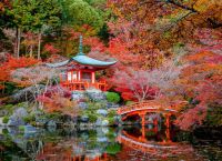 The first Japanese Garden of Athens opens its gates The first Japanese Garden of Athens opens its gates