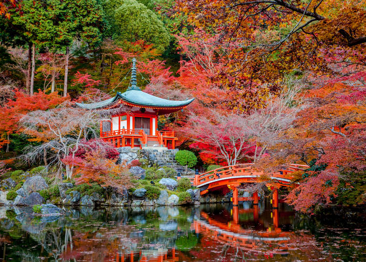 The first Japanese Garden of Athens opens its gates