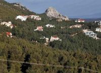 Παράταση έως τις 31 Ιουλίου για την υποβολή αντιρρήσεων στους δασικούς χάρτες