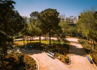 Δήμος Αθηναίων: Χιλιάδες δένδρα και θάμνους φυτευτήκαν τα τελευταία χρόνια