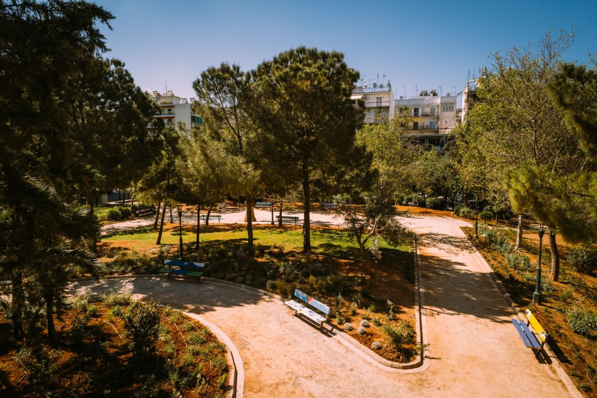 Δήμος Αθηναίων: Χιλιάδες δένδρα και θάμνους φυτευτήκαν τα τελευταία χρόνια
