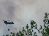 Φωτιά στον Έβρο: Σε επαγρύπνηση λόγω του πολύ υψηλού δείκτη επικινδυνότητας Φωτιά στον Έβρο: Σε επαγρύπνηση λόγω του πολύ υψηλού δείκτη επικινδυνότητας