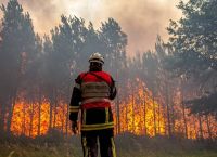 Καύσωνας: Ο νότος… φλέγεται – Ανεξέλεκτη η κατάσταση με τις πυρκαγιές