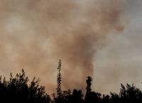 Φωτιά στον Έβρο: Συνεχίζεται η μάχη για την κατάσβεση της πυρκαγιάς Φωτιά στον Έβρο: Συνεχίζεται η μάχη για την κατάσβεση της πυρκαγιάς