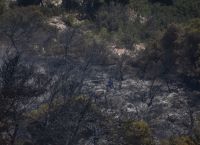Φωτιά τώρα στο Κρανίδι: Έσβησε η φωτιά στην Κορακιά Φωτιά τώρα στο Κρανίδι: Έσβησε η φωτιά στην Κορακιά