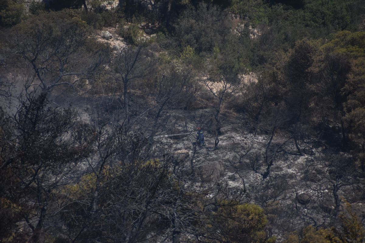 Φωτιά τώρα στο Κρανίδι: Έσβησε η φωτιά στην Κορακιά