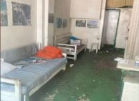 Θεσσαλονίκη: Κτηνιατρείο «κόλαση» – Μήνυση από φιλοζωική ομάδα [vid]