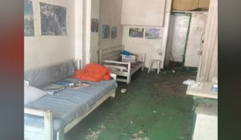 Θεσσαλονίκη: Κτηνιατρείο «κόλαση» – Μήνυση από φιλοζωική ομάδα [vid]