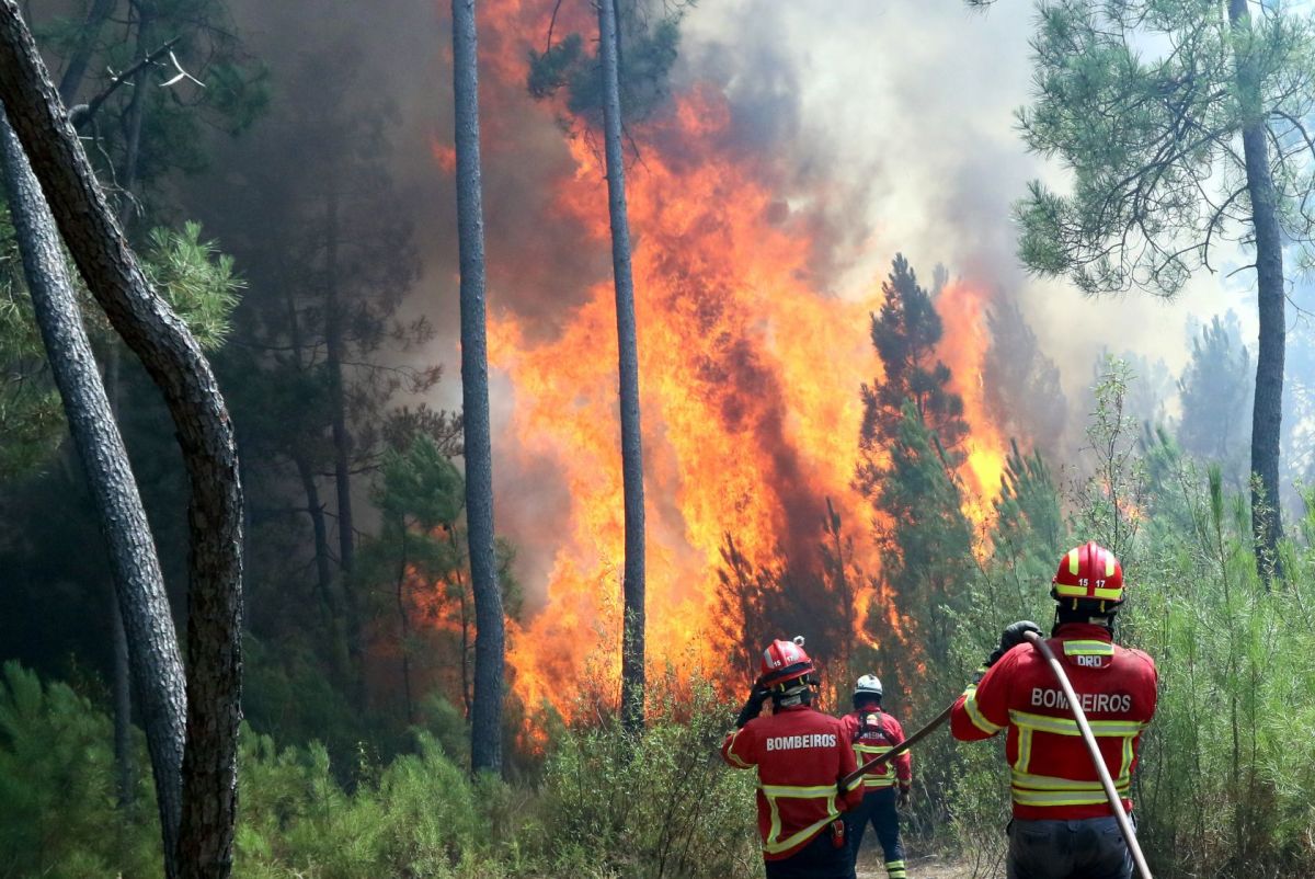 Πορτογαλία: Τέθηκαν υπό έλεγχο οι δασικές πυρκαγιές που μαίνονταν για αρκετές ημέρες