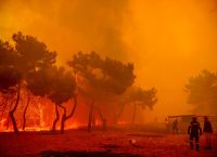 Φωτιά στη Λέσβο: Πυρκαγιά στη Βρίσα – Εντολή για εκκένωση στο χωριό Φωτιά στη Λέσβο: Πυρκαγιά στη Βρίσα – Εντολή για εκκένωση στο χωριό