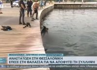 Θεσσαλονίκη: Επεισοδιακή σύλληψη – Έπεσε στον Θερμαϊκό με τις χειροπέδες [pic, vid]