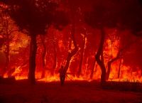Η Ελλάδα στις φλόγες – Όλες οι εξελίξεις από τα πύρινα μέτωπα