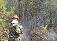 Φωτιά στον Έβρο: Δραματική η κατάσταση από το πύρινο μέτωπο – Χιλιάδες τα στρέμματα που καταστράφηκαν