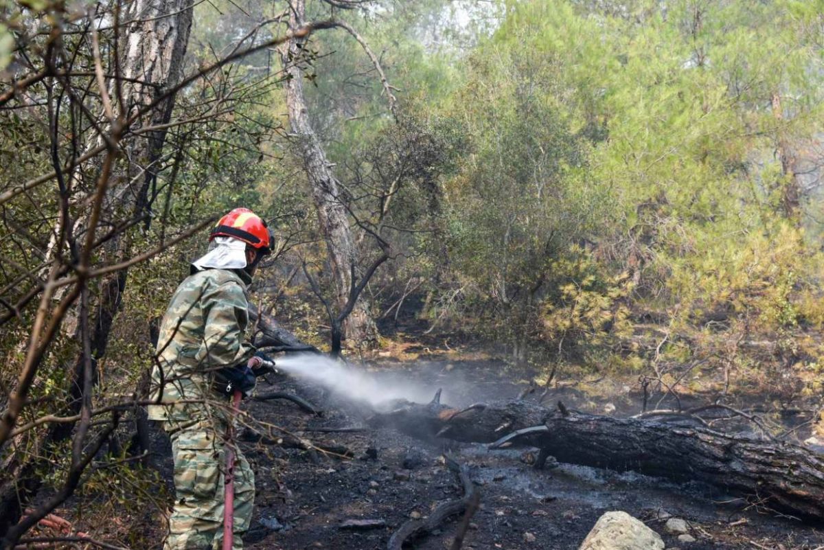 Φωτιά στον Έβρο – Εντολή εκκένωσης της Δαδιάς από το 112