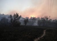 Φωτιά στην Πεντέλη: Παροχή φιλοξενίας πολιτών που επλήγησαν από την πυρκαγιά στην Πεντέλη Φωτιά στην Πεντέλη: Παροχή φιλοξενίας πολιτών που επλήγησαν από την πυρκαγιά στην Πεντέλη