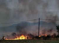 Φωτιά στην Ηλεία: Καίει σε αγροτική έκταση στην Σπιάντζα Φωτιά στην Ηλεία: Καίει σε αγροτική έκταση στην Σπιάντζα