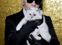Choupette: Η γάτα φύλακας άγγελος του Karl Lagerfeld