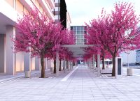 Στην τελική ευθεία βρίσκεται το έργο ανάπλασης της πλατείας Συντάγματος από τον Δήμο Αθηναίων