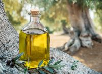 Οι ζημιές στην ελαιοκαλλιέργεια σε Ισπανία και Ιταλία λόγω του καύσωνα θα αυξήσει την τιμή στο λάδι