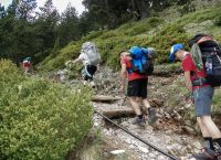 Ιωάννινα: Τραυματίστηκε αναρριχητής στο Πάπιγκο – Μεταφέρθηκε άμεσα στο νοσοκομείο Ιωάννινα: Τραυματίστηκε αναρριχητής στο Πάπιγκο – Μεταφέρθηκε άμεσα στο νοσοκομείο