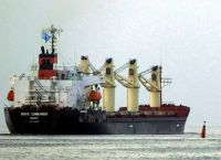 Ουκρανία: Οι εξαγωγές σιτηρών εκτιμάται πως θα φτάσουν τον Αύγουστο σε προπολεμικά επίπεδα Ουκρανία: Οι εξαγωγές σιτηρών εκτιμάται πως θα φτάσουν τον Αύγουστο σε προπολεμικά επίπεδα