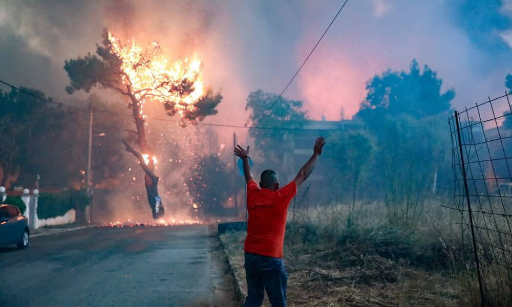 Ολοκληρώνονται τα έργα αναδάσωσης και αποκατάστασης στην οδό Ερυθραίας και Βαρυμπόμπη