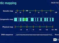 New institute puts Greece on genomics research map