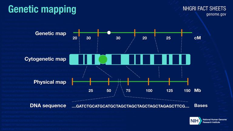 New institute puts Greece on genomics research map